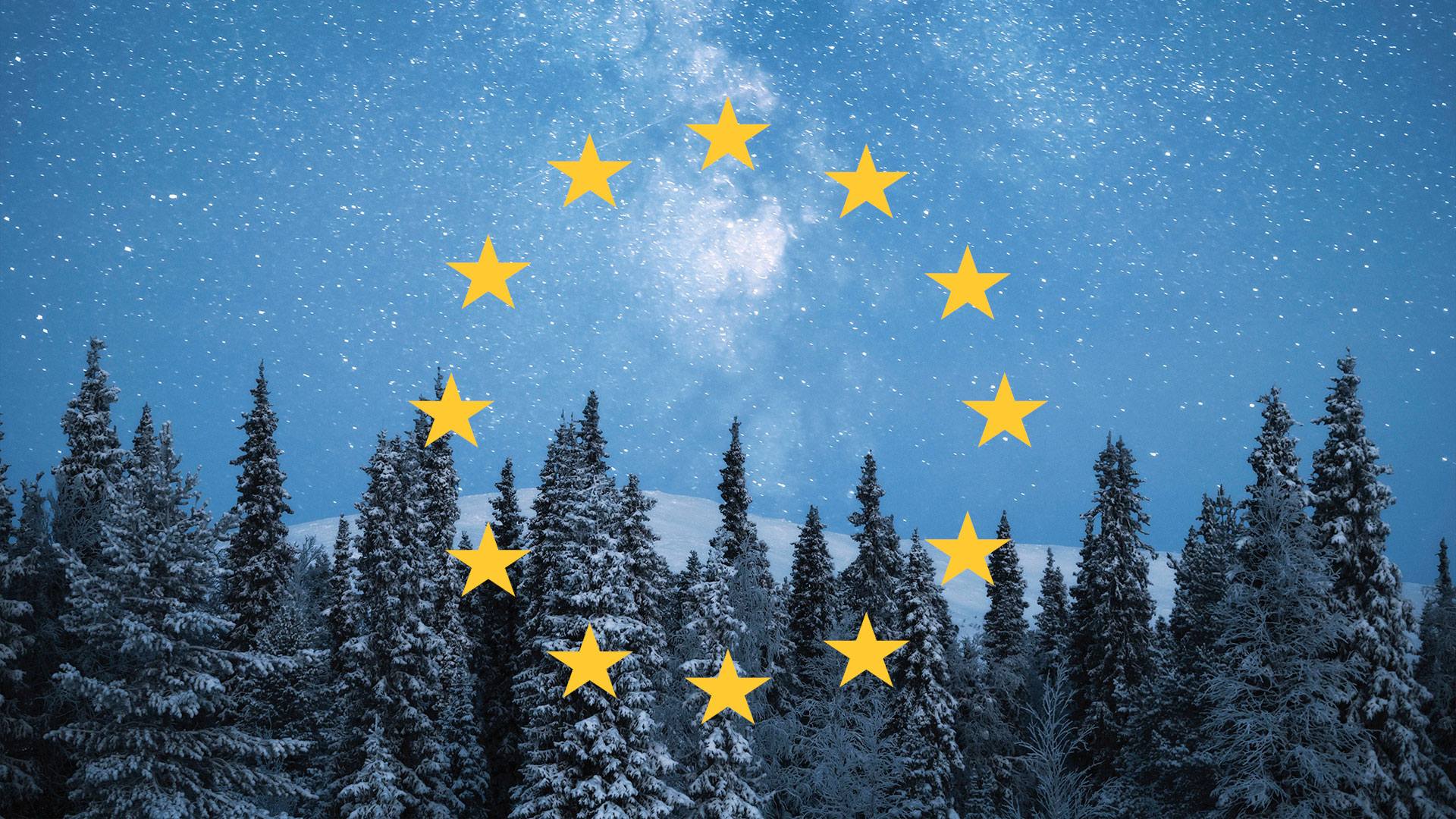 9 kysymystä EU:n metsästrategiasta ja sen vaikutuksesta Suomeen | UPM Metsä